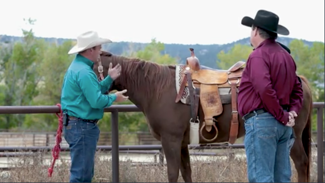 hr-ken-mcnabb-horsemanshipbuffet