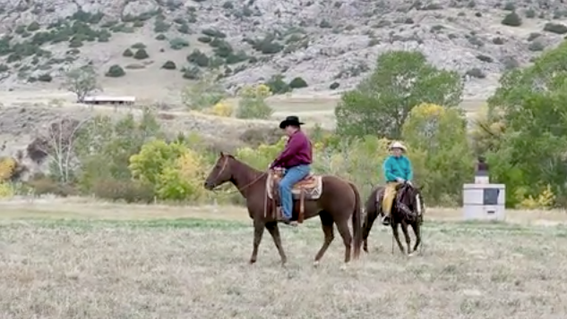 hr-kenmcnabb-driverseat