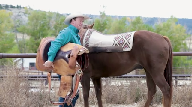 hr-kenmcnabb-easiersaddling