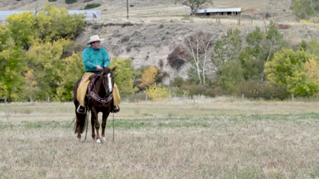 hr-kenmcnabb-quietseat