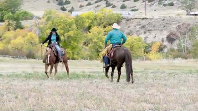 hr-kenmcnabb-triangleexercise