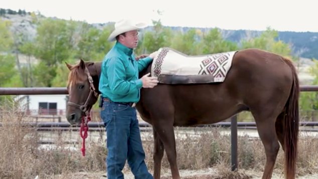 hr-kenmcnabb-whysaddlefitmatters