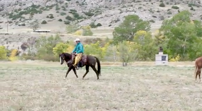 hr-kenmcnabbheadcarriage