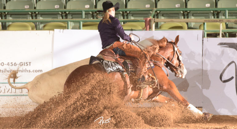 HR-nov17tie-work-hard-dawson-sbf-fence