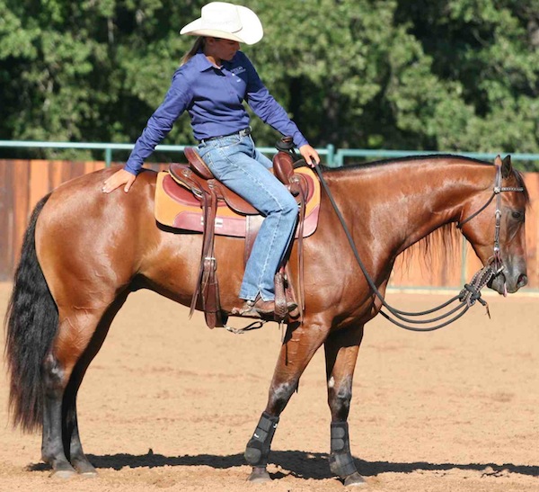 HR-reward-horse-improve-training