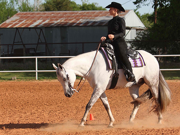 HR-square-circle-horsemanship-jen2