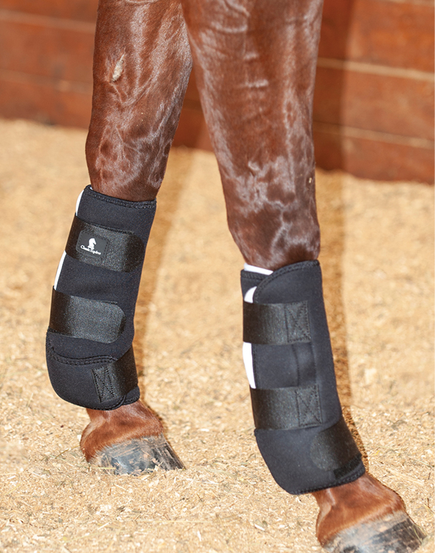 HR_20FALL_SAS_Classic Equine