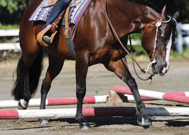 HR_SPG20 Private Lesson 01