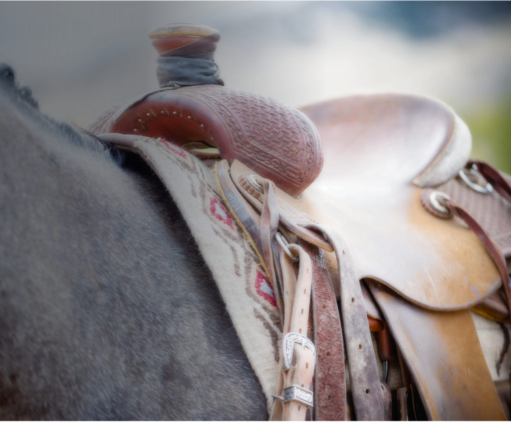 A saddle sits on a horse. 