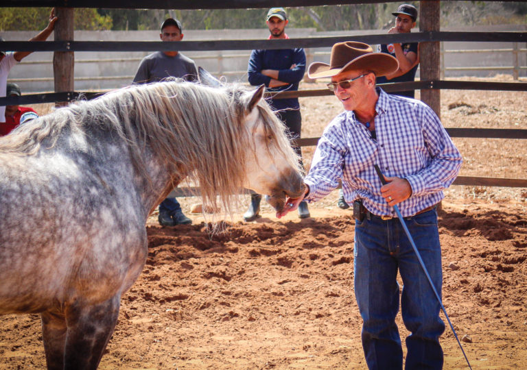 HR_SUM20_nextlevelwarwick02