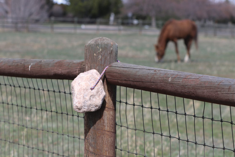 HR_SUM20_solutions01