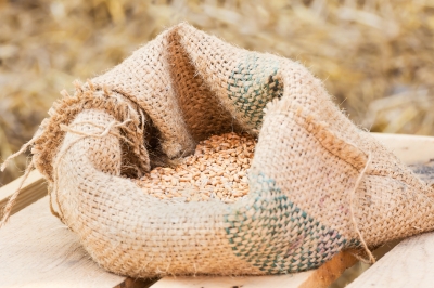 Image courtesy of Stoonn at FreeDigitalPhotos