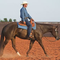 Improve Your Horsemanship at Extended Western Jog promo image