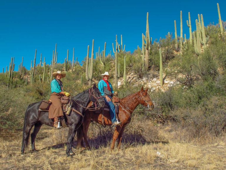 inspired-rider-krones-hr180300-01