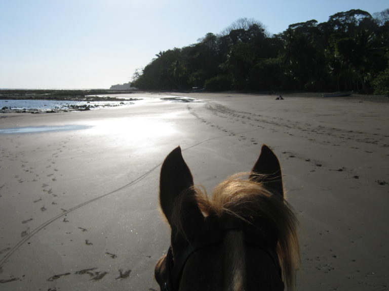 INTERNATIONAL-COSTARICA-DISCOVERYHORSEBACKTOURS