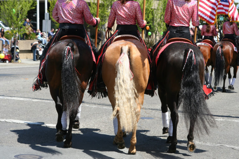 Three horses being ridden in a parade.