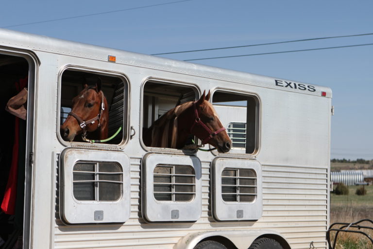 Jordan Larson on Summer Travel With Horses promo image