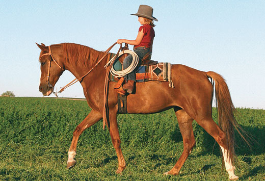 Kids and Trail Riding promo image