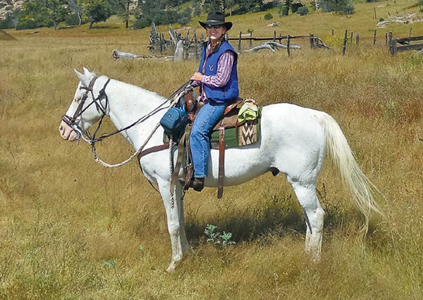 Land of Enchantment promo image