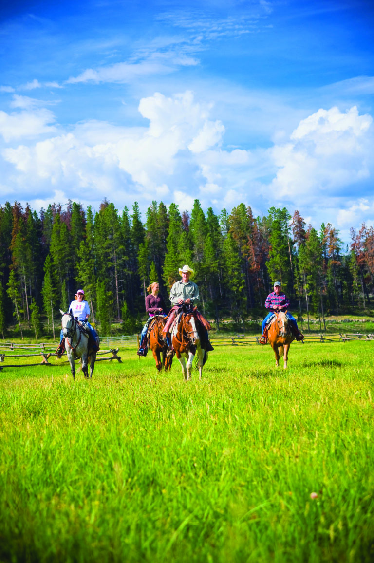 LEAVEHORSE-DEVILSTHUMB-cg