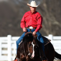 Maintain Your Horse's Turnaround promo image