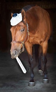 Meet Fan of the Month June Evers! promo image