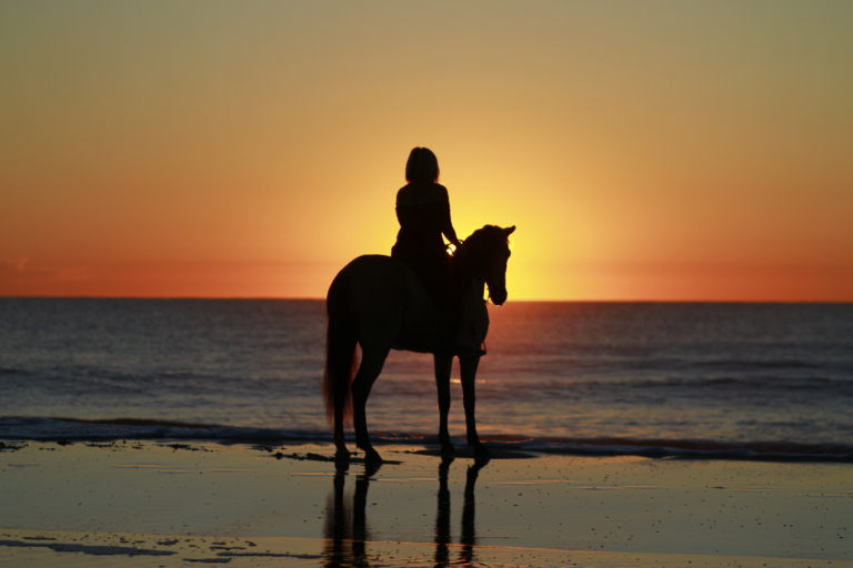 Rider on a horse on the beach during a sunset.