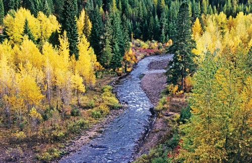 Montana's Fish Creek Country promo image