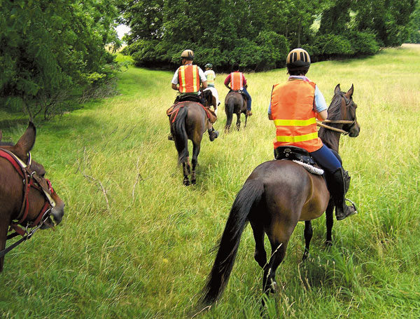 Mounted Search-and-Rescue promo image
