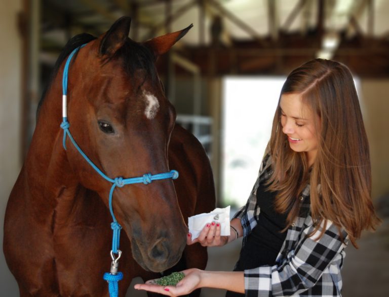 NicholeandZandyLCFP2