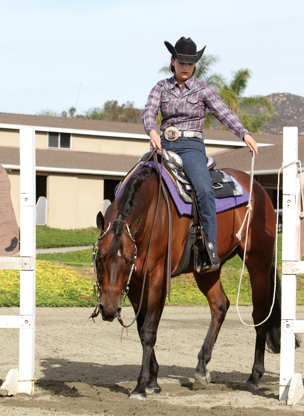 Off-Hand Gate promo image