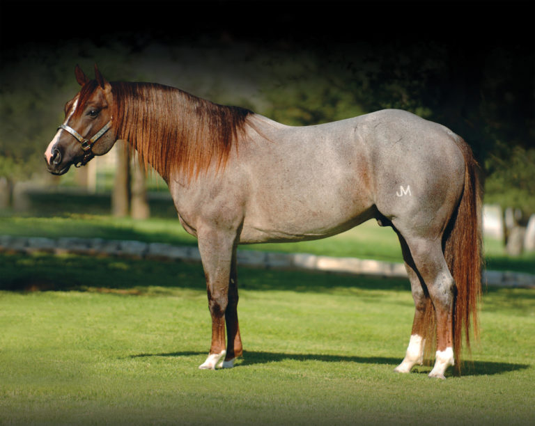 One Time Pepto Profile