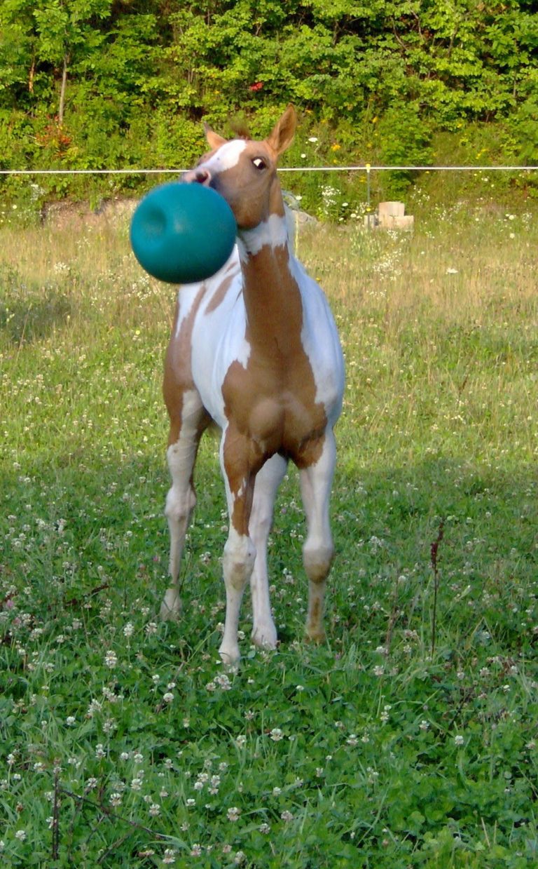 Outside the Arena with Fan of the Month Denise Willard promo image