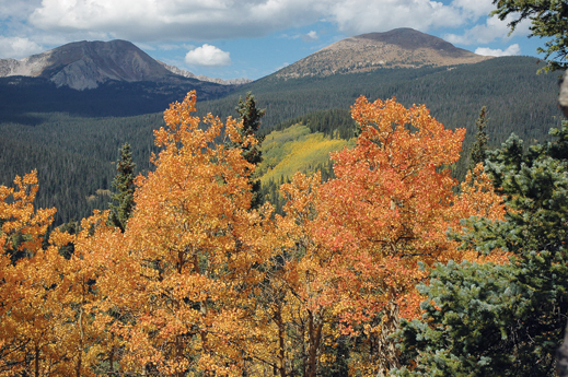 Pack Trip in New Mexico's Pecos Wilderness promo image