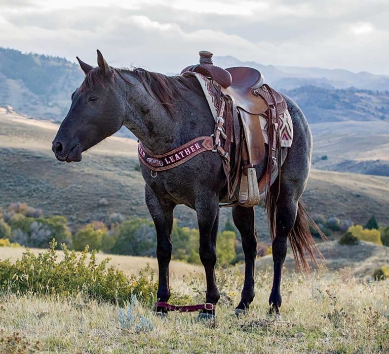 packtrip-hr180500-03