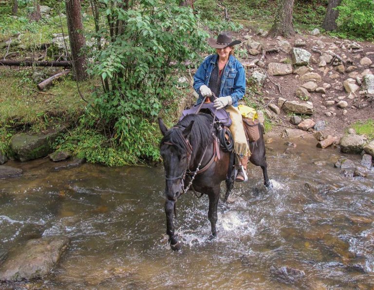 pecos-wilderness-hr180400-01