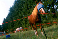 Photo by Mandy Lorraine