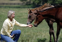 Photo by Roger Gollehon