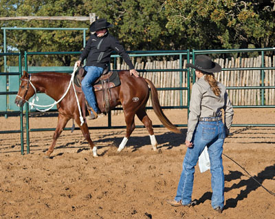 Photo courtesy of Downunder Horsemanship