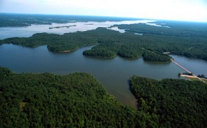 Photo Courtesy of Land Between the Lakes