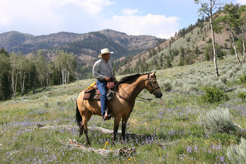 Postcard From Wyoming: Into the Woods promo image