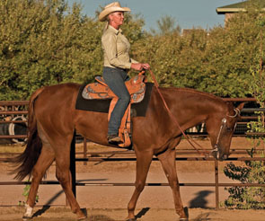 Pump Up Your Horsemanship promo image