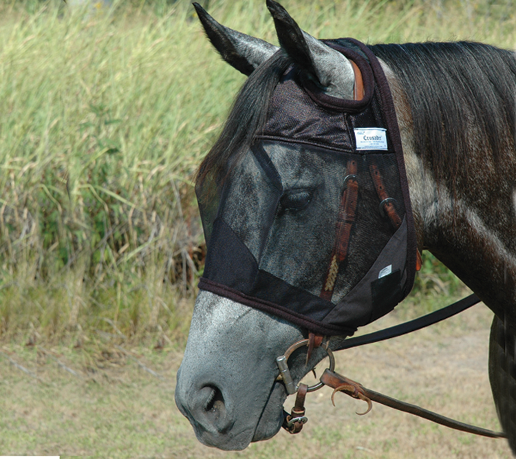 qrsCashel-FlyMaskOverBridle-GreyHorse-