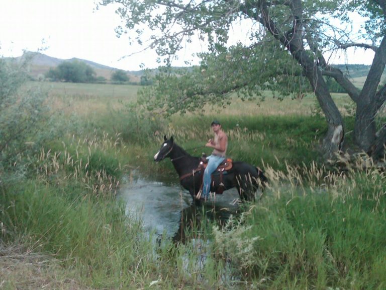 "Cricking" promo image