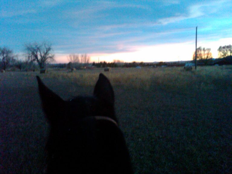 "Zen" on Deadline promo image