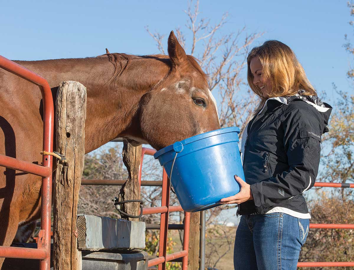 Life Data Labs Barn Bag Broodmare and Growing Horse Supplement