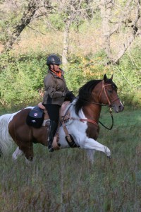 Ride Bridleless with Lynn Palm promo image