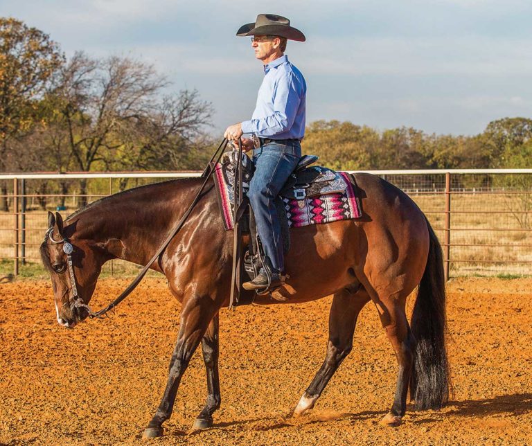 riding-cues-hr180400-02