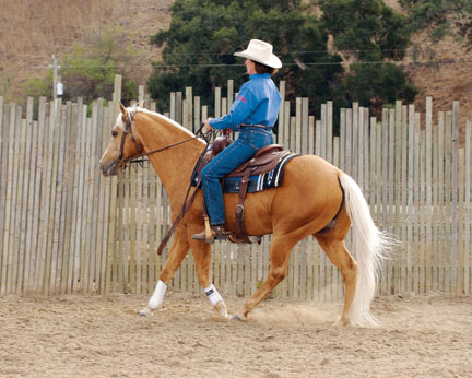 Sandy Collier's Western Horse Training Secrets promo image