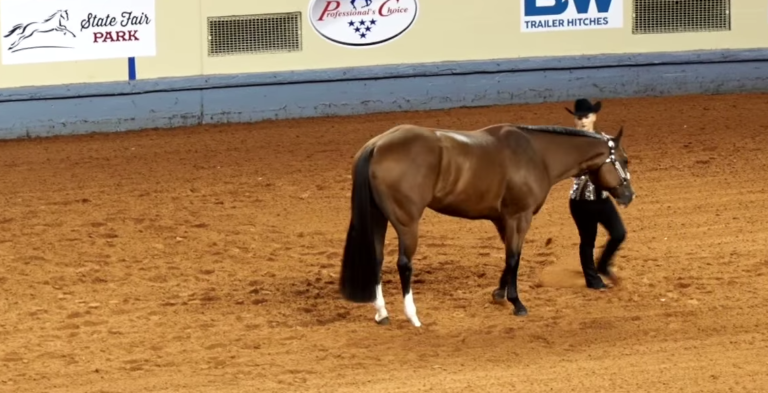 Screen Shot 2017-03-14 at 8.44